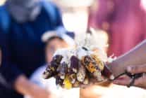 İzmir’de Toprağa Dokunan Eller