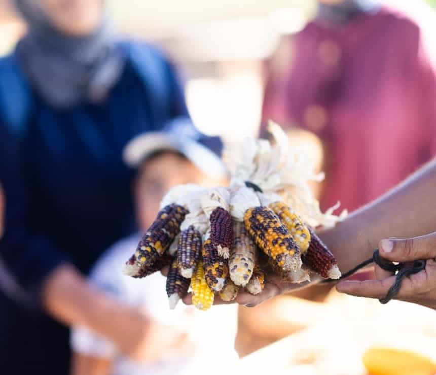 İzmir’de Toprağa Dokunan Eller