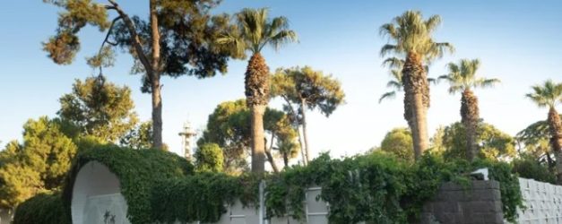 Mogambo İzmir’de Tekrar Hayat Buldu