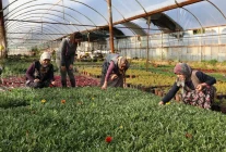 Muğla’da kadın üreticilerle güçlü bir gelecek inşa ediliyor