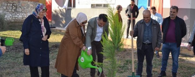 Milli Ağaçlandırma Günü'nde Aydın Didim'den 'nefes' oldular