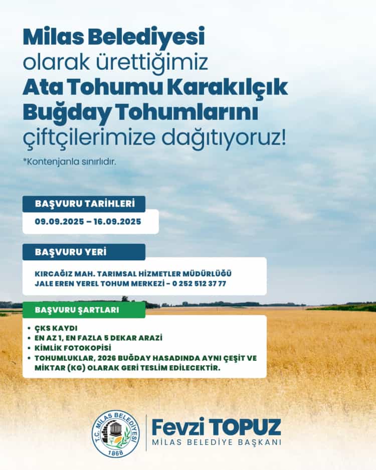 Muğla Milas’ta Üreticilere Karakılçık Buğday Tohumu Dağıtıldı