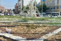 Manisa’da Kurakçıl Peyzaj Uygulamalarıyla Su Tasarrufu ve Güzellik