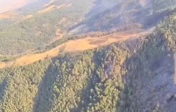 Uşak ve Bilecik’te Yangınlar Kontrol Altında, Sakarya Geyve’de Mücadele Devam Ediyor 1 Uşak ve Bilecik’te Yangınlar Kontrol Altında, Sakarya Geyve’de Mücadele Devam Ediyor