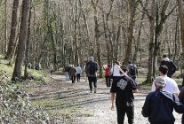 iskiden istanbulun su mirasina yolculuk