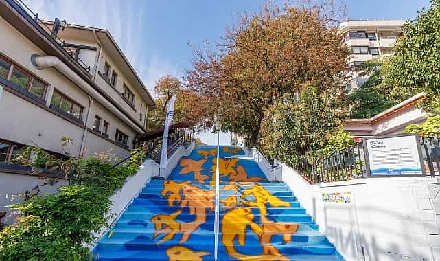 johnson johnson ruh sagliginin onemine vurgu yapmak icin moda merdivenlerini renklendirdi