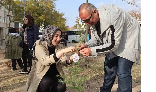 11 kasim agaclandirma gununde fidan dagitimi ve fidan dikimi