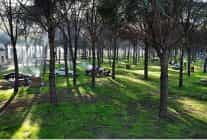 altinova mesire alani hizmete acildi