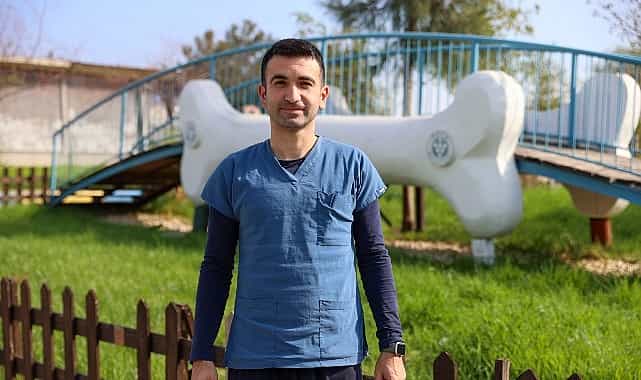 bucada 3 bin 54 sokak kedisi kisirlastirildi