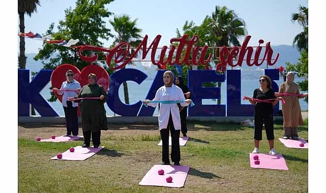 buyuksehir modeli avrupada ornek gosterildi