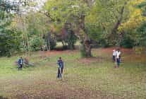 darica millet bahcesinde temizlik seferberligi