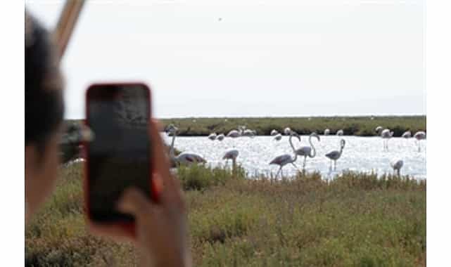 doga ve lezzet tutkunlari bu turlari cok sevecek