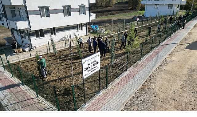 inegollu genclerden ornek davranis 32 fidan toprakla bulustu