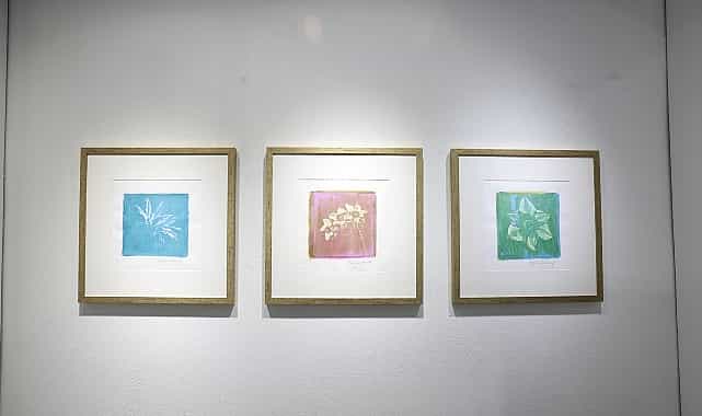 isigin izi sergisi niluferde