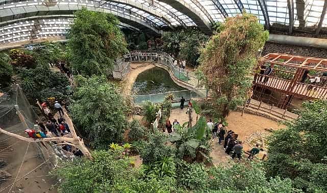 izmir dogal yasam parkina ziyaretci akini