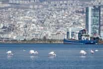 izmirin gelecek yarim asri sekilleniyor