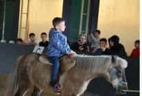 kartepe belediyesi atli binicilik kulubune yogun ilgi