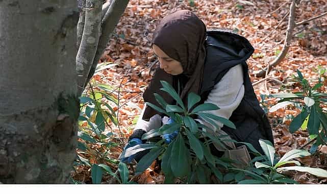 kuzuyaylada mantarlarin gizemli dunyasi kesfedildi
