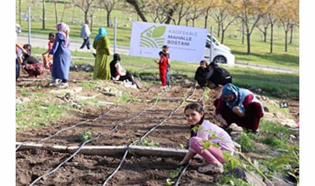 mahalle bostanlarinda kis dikimleri basladi