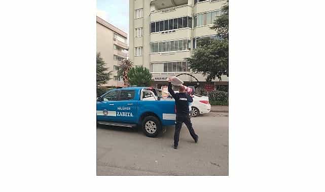 niluferde kapsamli temizlik