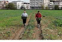 osmangazi belediyesi dogal uretimle sofralara saglik sunuyor