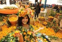 seferihisarin koklu geleneklerinden biri olan mandalina senligi bu yil 25inci kez duzenleniyor