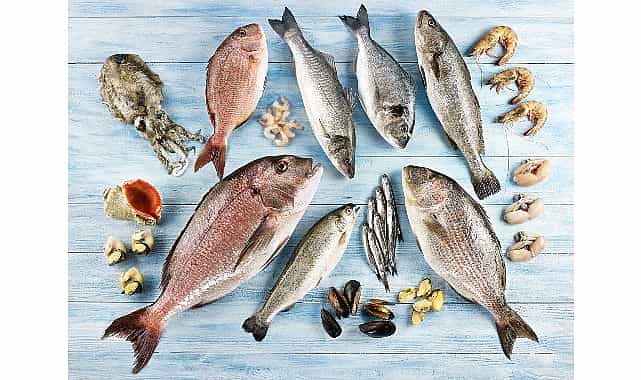 su urunleri ve hayvansal mamuller ihracatinin yuzde 47si ege bolgesinden yapildi