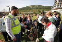 tarim parkinda engelleriastilar