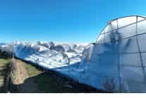 buyuksehir belediyesi seralari zarar goren ciftcinin yaninda