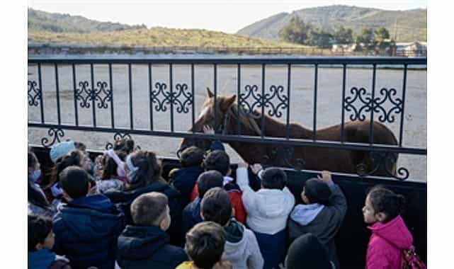 cocuklara hayvan sevgisi kazandiriliyor