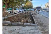 daha yesil bir milas icin ekipler ilcemizin dort bir yaninda yogun calismalar yapiyor