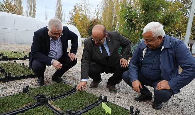 edremit belediyesinden kuresel isinma ve kuraklikla mucadele programi