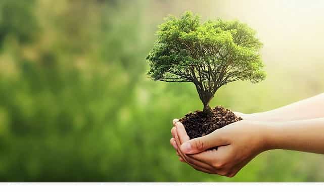 fuzulden 2025 calisani adina canakkale ve sanliurfaya 2025 fidan bagisi