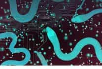 gorunuste oyun gercekte siber casusluk