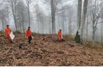 harmancikta yanan ormanlara tohumlar serpiliyor