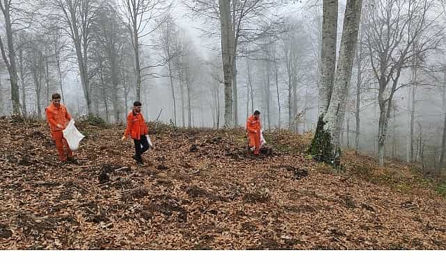 harmancikta yanan ormanlara tohumlar serpiliyor