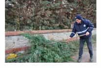 kartepede mezarliklara duzenli bakim