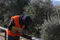 mahalle muhtari sanli ozlem baskanimizin hizmetlerinden cok memnunuz