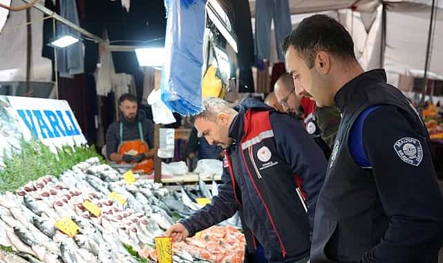 maltepede balik denetimi