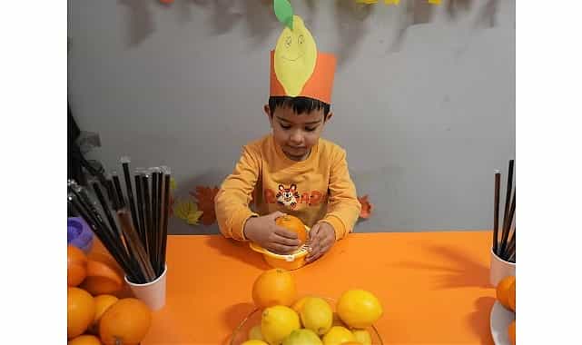 miniklerden renkli c vitamini senligi