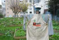 moda bostan alaninin yer aldigi ihale iptal edildi