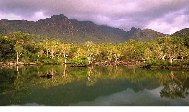 avustralyanin vahsi ormanlari 10 ocak cumartesi 20 00de national geographic wild ekranlarinda