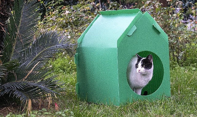 baskan tugay soz verdi kediler sicak yuvalarina kavustu
