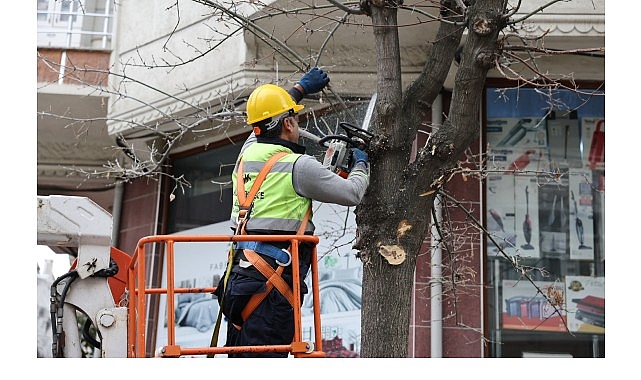 Budama Çalışmalarından Yakacak Elde Ediliyor 1 budama calismalarindan yakacak elde ediliyor