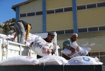 buyuksehirden 2025 yilinda hayvanciliga 503 bin 625 kg yem destegi