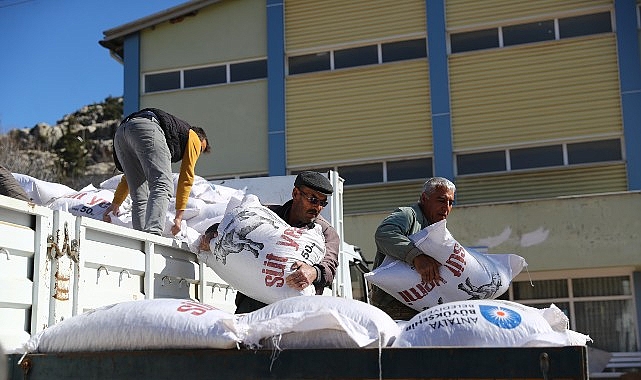 buyuksehirden 2025 yilinda hayvanciliga 503 bin 625 kg yem destegi