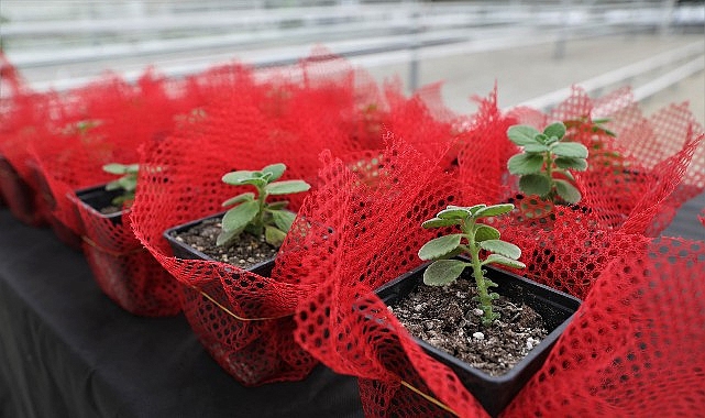 keciorende bilincli tarimsal uretim icin egitim verildi