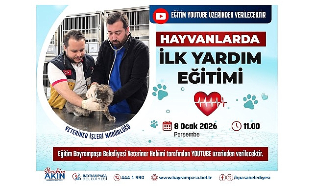 Patili dostlar için hayat kurtaran eğitim 1 patili dostlar icin hayat kurtaran egitim