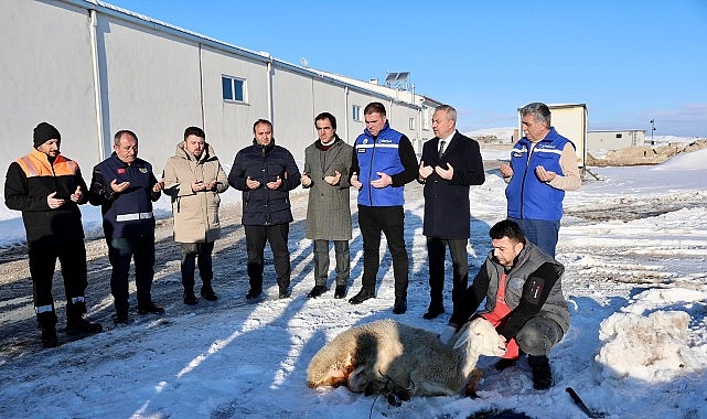 sivasta kar yagisi icin sukur kurbani kesildi