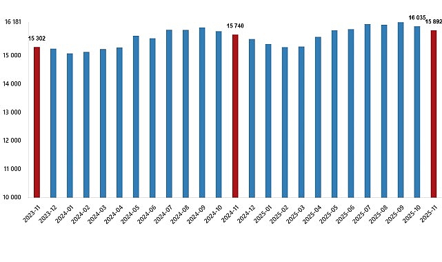 ucretli calisan istatistikleri kasim 2025